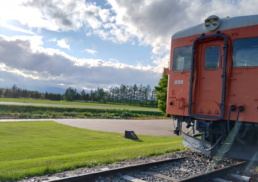 【北海道の物産と観光展】帯広の特産品が当たる特別抽選会;