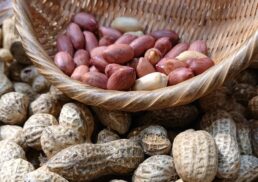 一味　期間限定販売会;