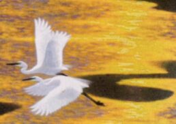 ～巨匠から人気作家～　日本画・洋画特選展;