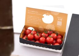 恵那川上屋　期間限定販売会;
