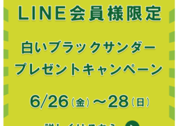 【LINE会員様限定】白いブラックサンダープレゼントキャンペーン;